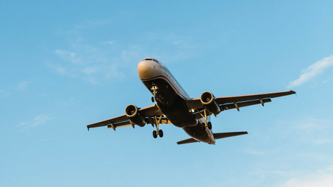 blue bowl of black bean beef tortilla soup on a board with cilantro and shredded cheese in background